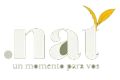 Punto Nat